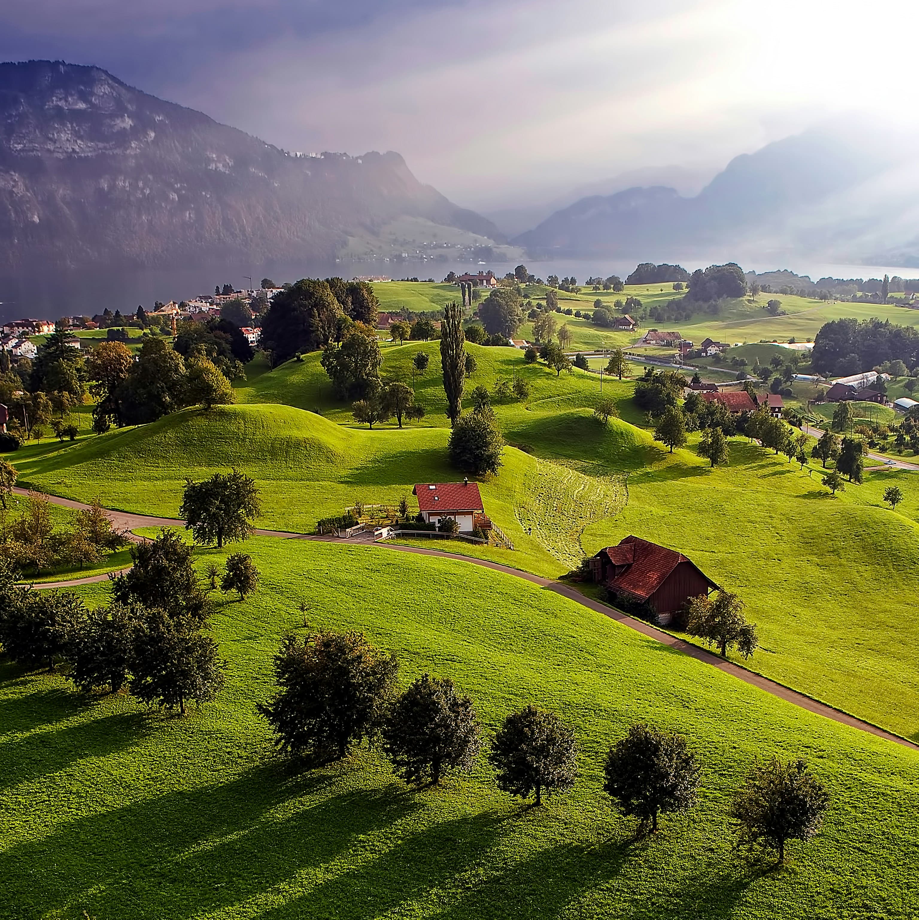 Aerial view of green farmland with mountains